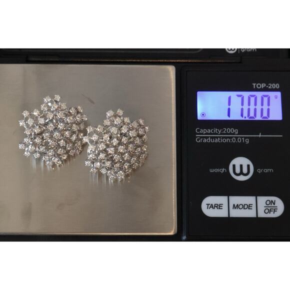Piranesi 18k White Gold Dimond Flower Earrings 17G / 1 In / 2.94 tcw